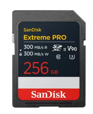 Sandisk
